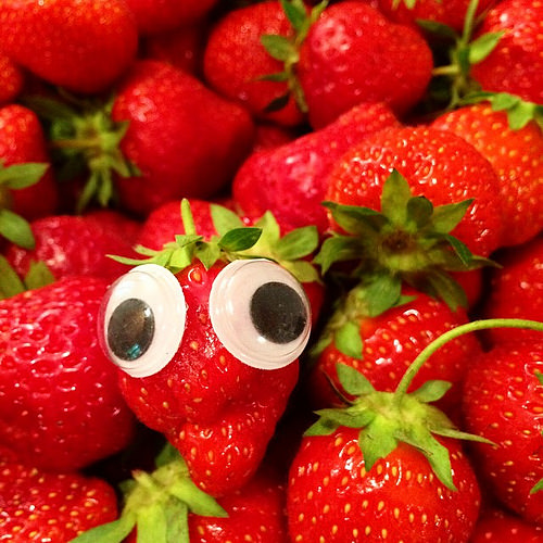 🎶 I always feel like some berry's watching me ... 🎶