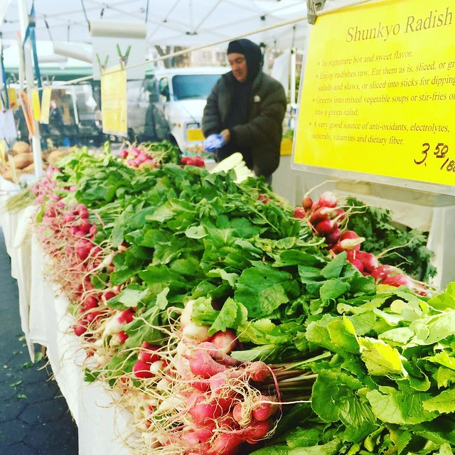 Union Square Greenmarket radishes