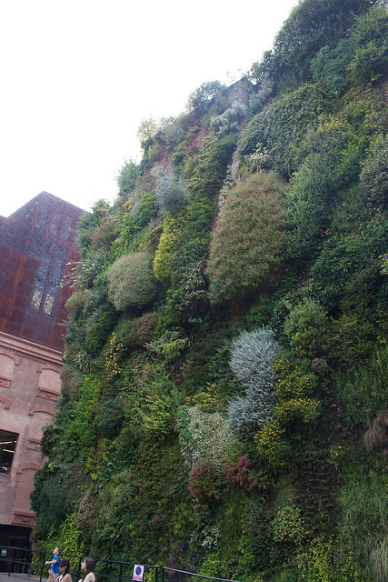 caixaforum madrid vertical garden