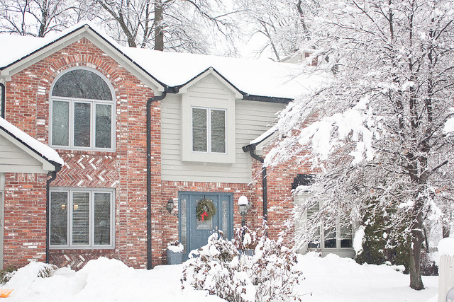Snowy Home