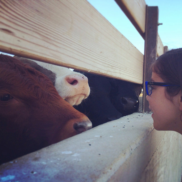 Elena speaks cow