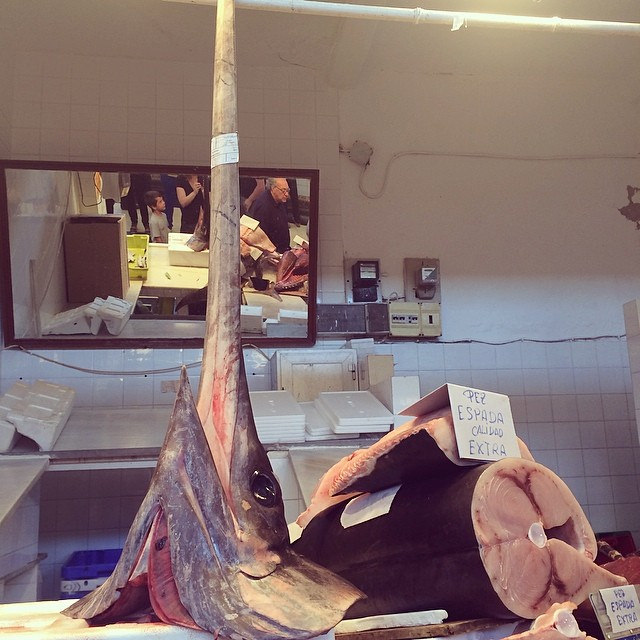 Sanlucar de Barrameda fish market