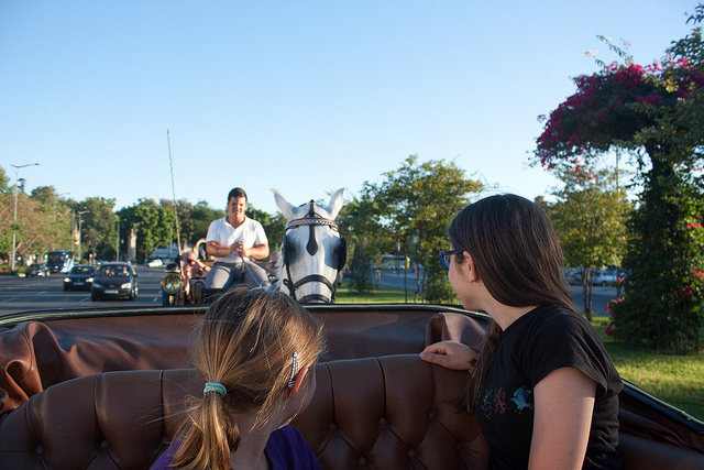 Horse-drawn carriage ride Sevilla