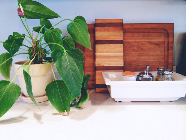 Organized countertops