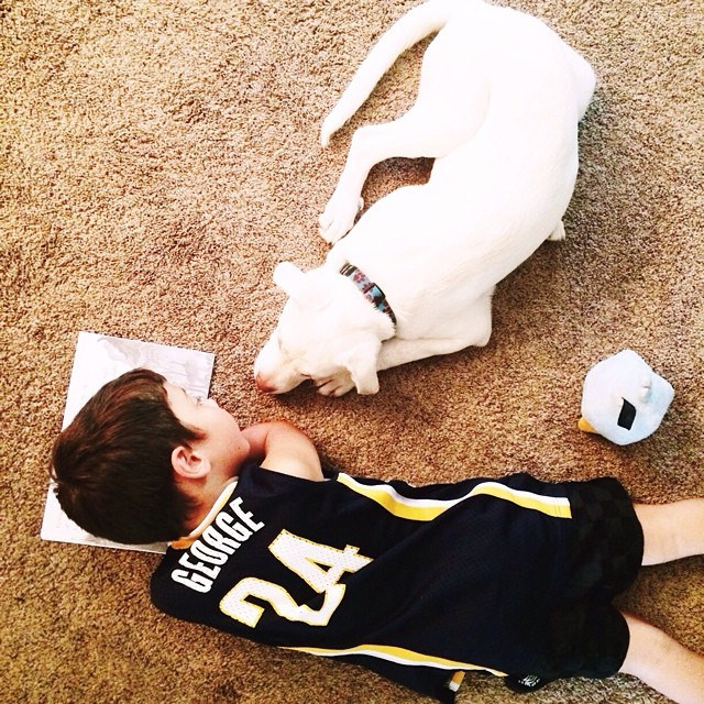 Homework is better with a dog