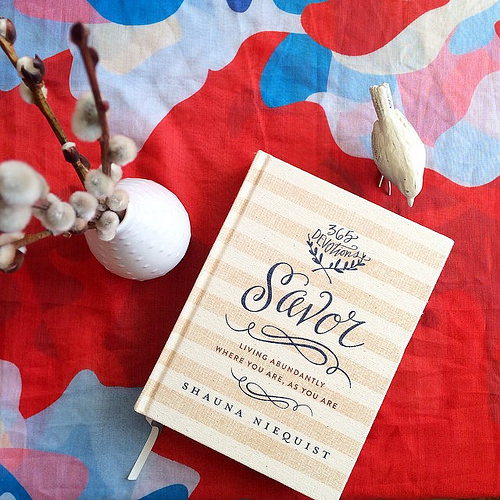 Savor: Living Abundantly Where You Are, As You Are. A devotional by Shauna Niequist