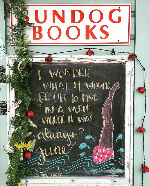 Sundog Books Seaside Florida