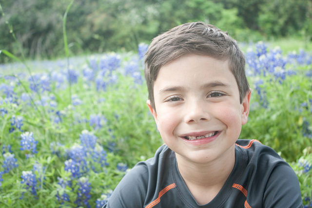 Texas Bluebonnets