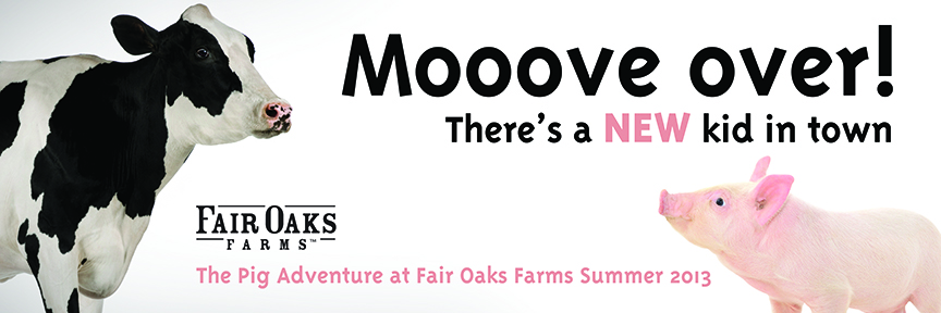 Grand Opening Fair Oaks Farm Pig Adventure