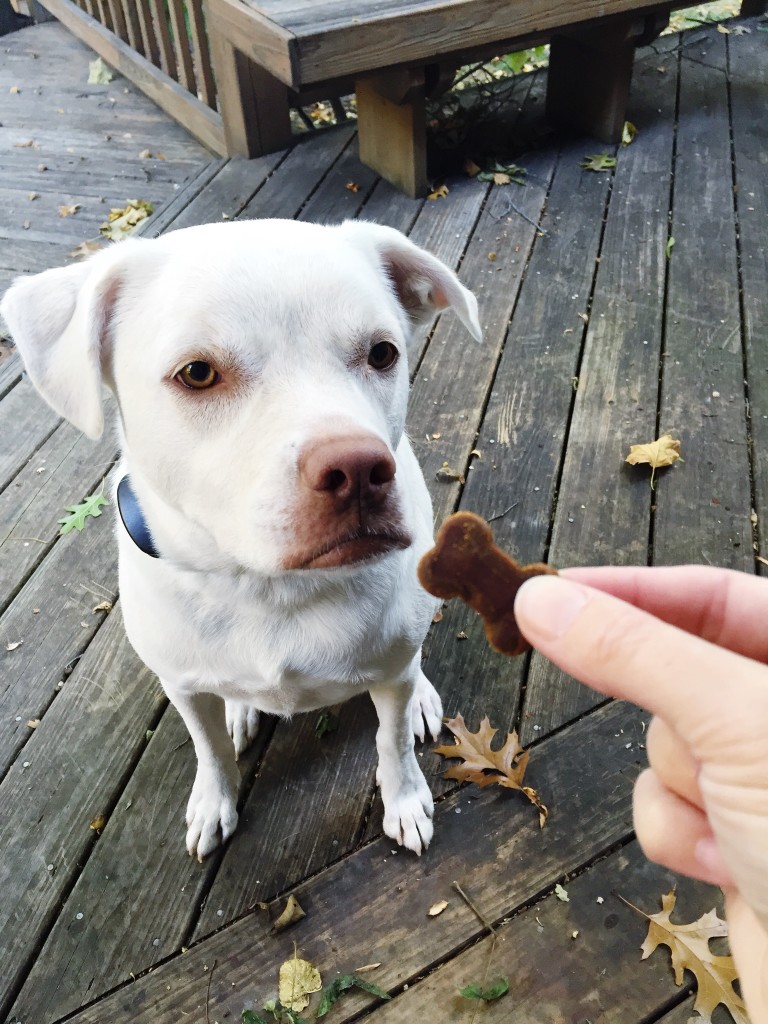 Milk-Bone Good Morning Daily Vitamin Treats