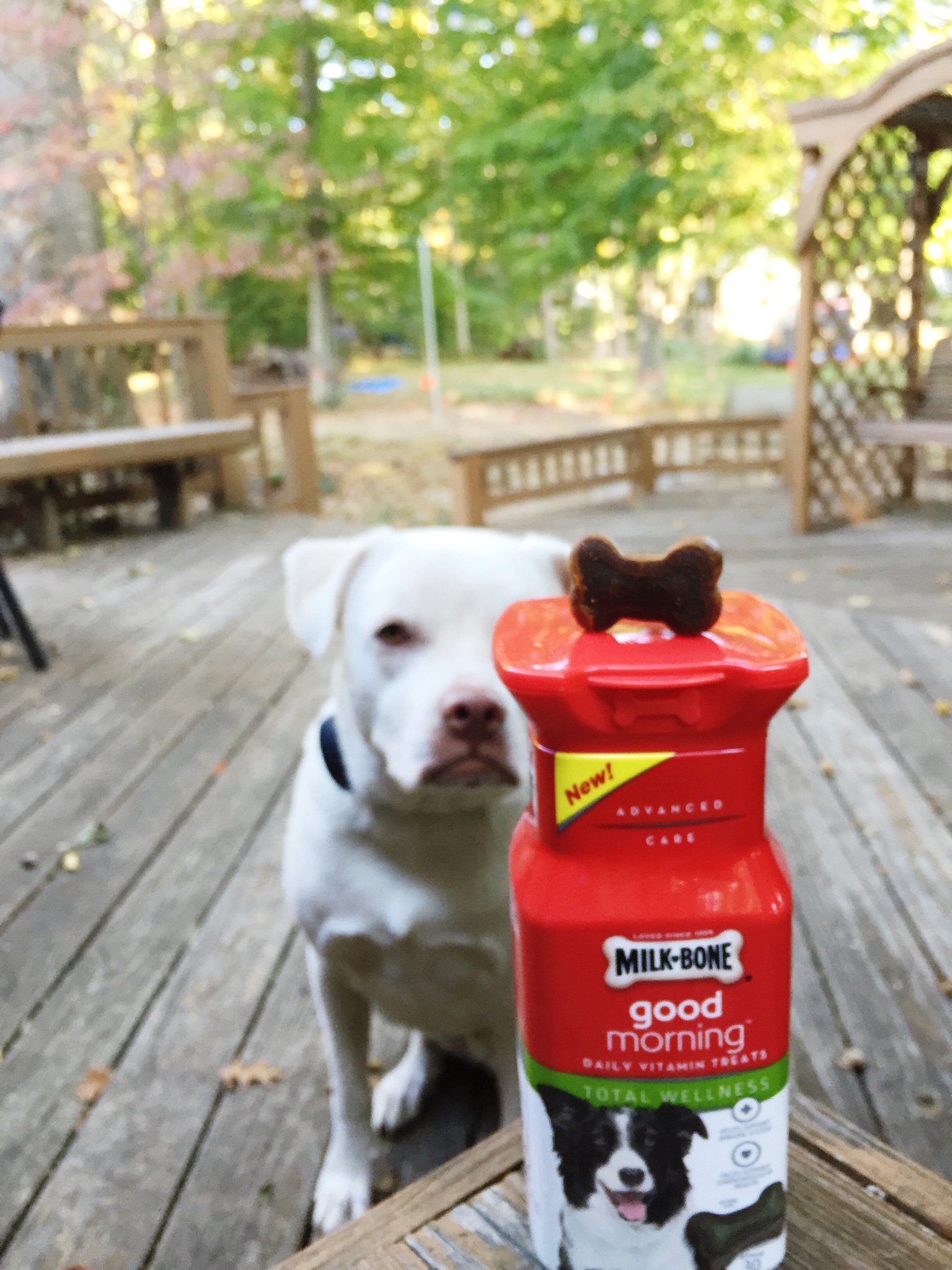 Milk-Bone Good Morning Daily Vitamin Treats