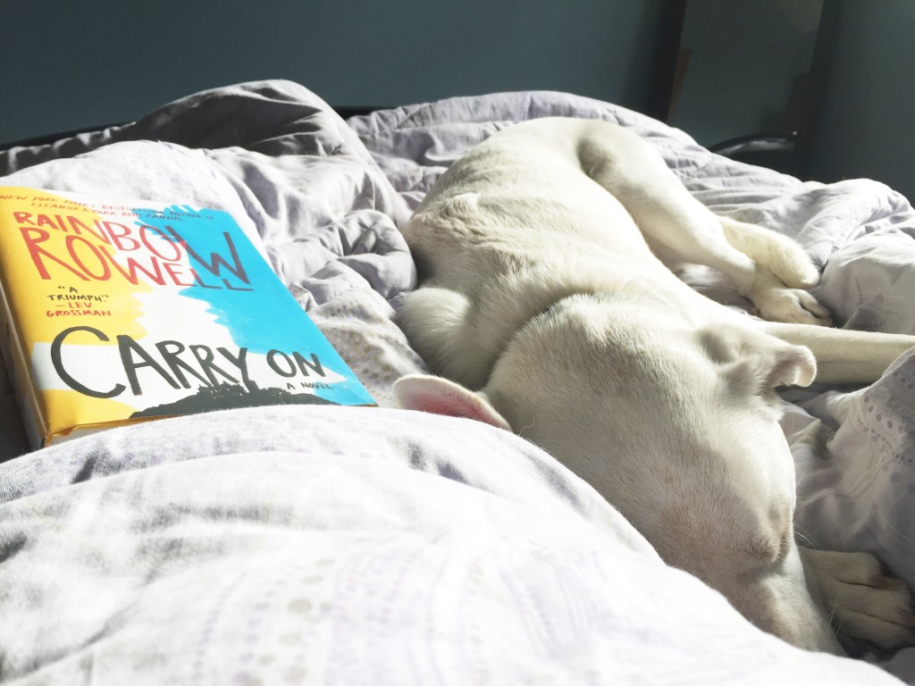 Self-care for the introvert